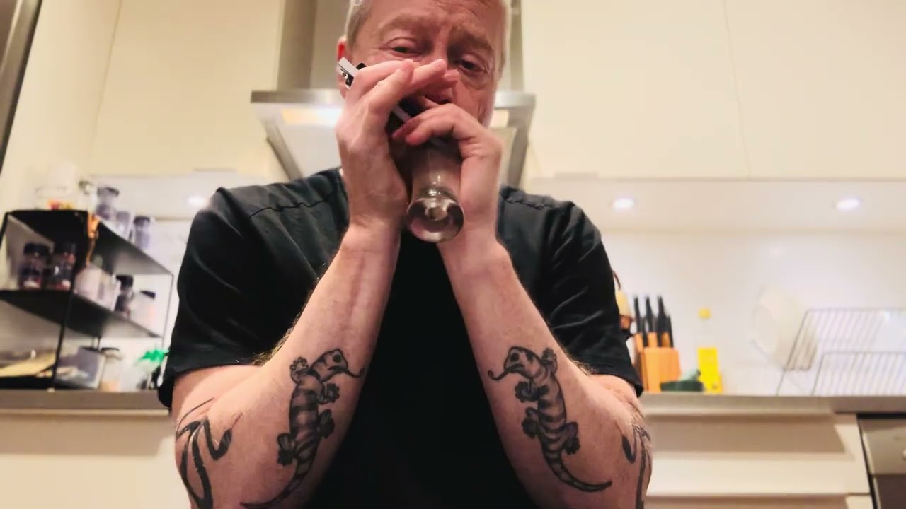 Bye Bye Bird (Sonny Boy Williamson II) - Blues Harmonica