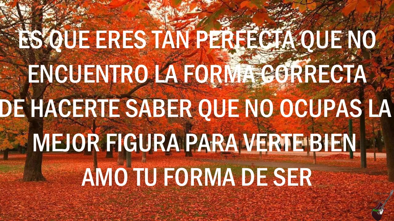 (Letra) - Perfecta - Banda Los Recoditos