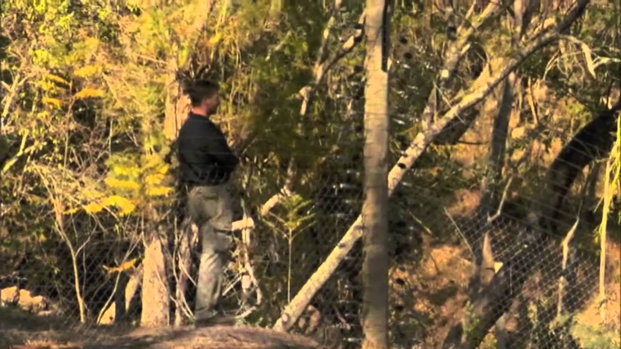 Chimp Eden; Cozy's background