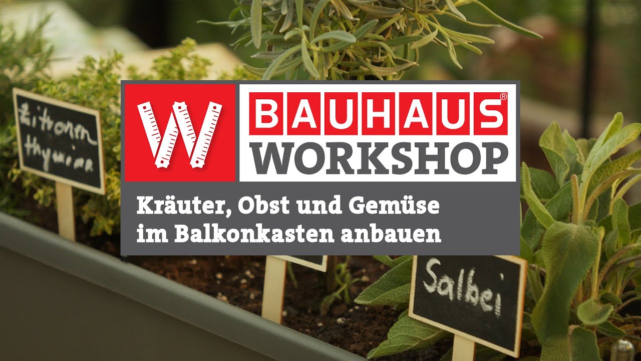 Kr&auml;uter, Obst und Gem&uuml;se im Balkonkasten anbauen [Experten-Tipps] | BAUHAUS Workshop