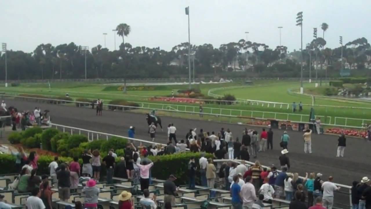 Zenyatta - After the Vanity Handicap 2010