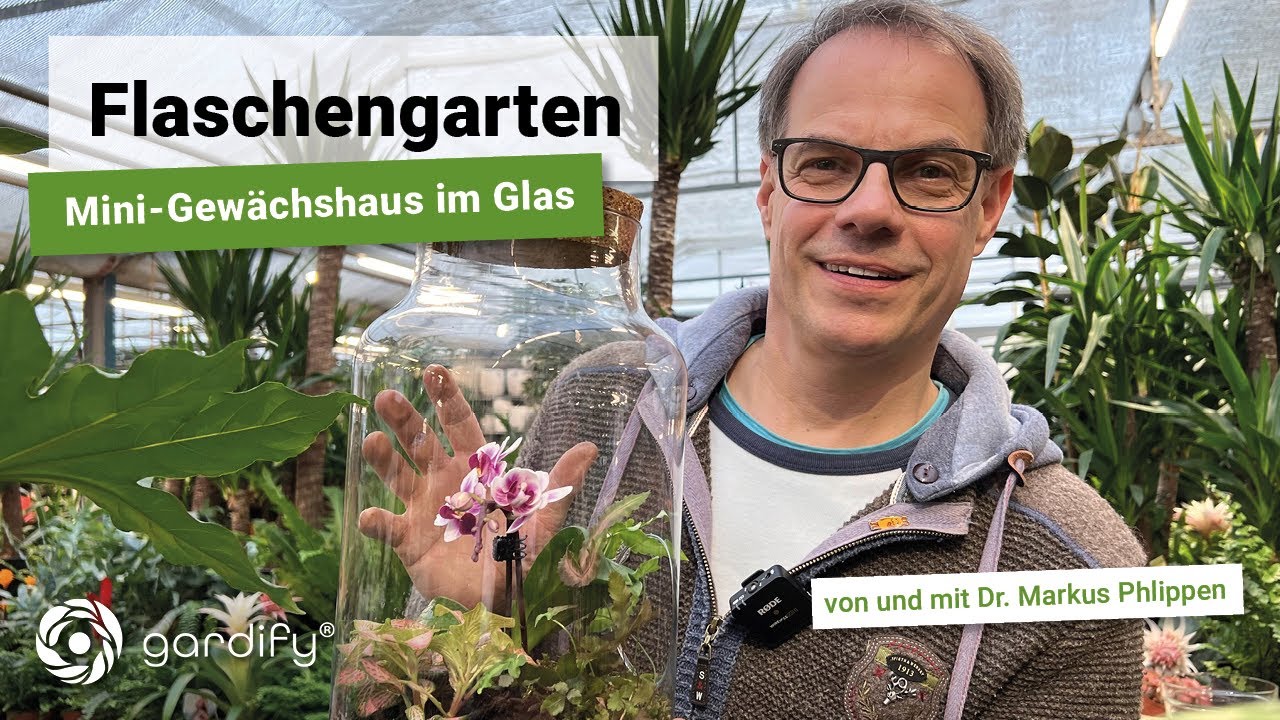 Flaschengarten - Mini-Gewächshaus im Glas, Phalänopsis, Orchideen, Bromelien, Farne | gardify Tipps