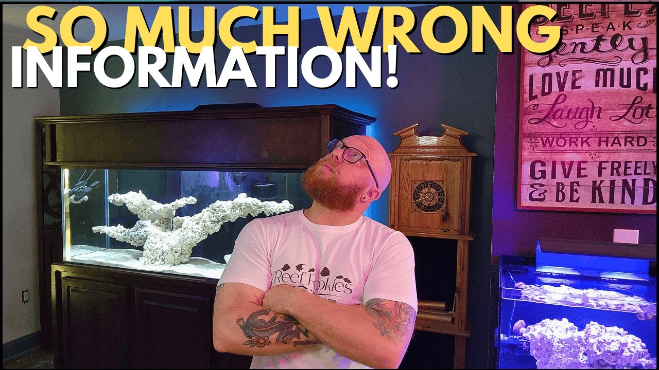 10 Reef Tank Myths Debunked - You’ve Been Lied To!