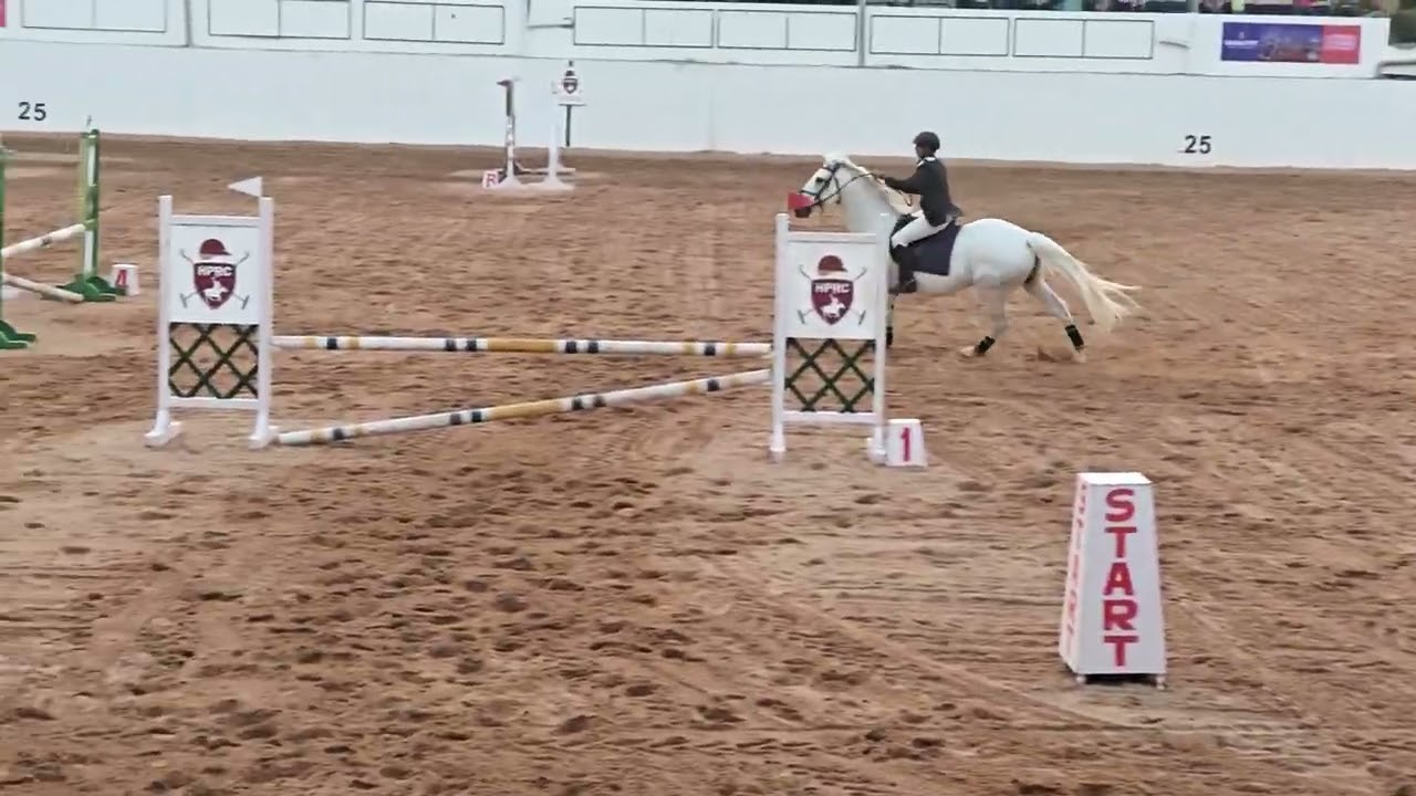 #poloarena @poloarenaworldchampionship #poloworldchampionship#hprc#hyderabadpoloandridingclub