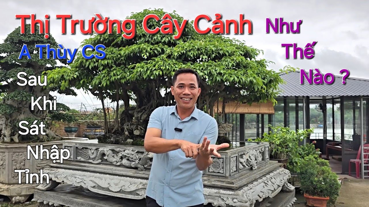Anh Thùy chia sẻ NỀN CÂY CẢNH của nước ta sẽ PHÁT TRIỂN NHƯ THẾ NÀO sau khi SÁT NHẬP TỈNH ?