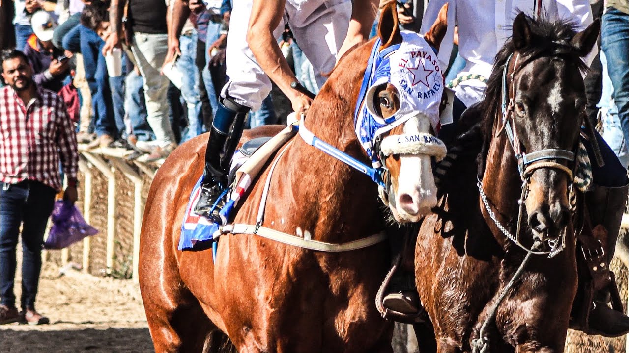 La Carrera Del Siglo | El Payaso Vs El Peligro Vs El Golden, Maturity Millonario Tonalá Jalisco Mex.