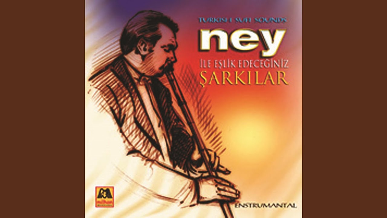 Anladım Sevmeyeceksin