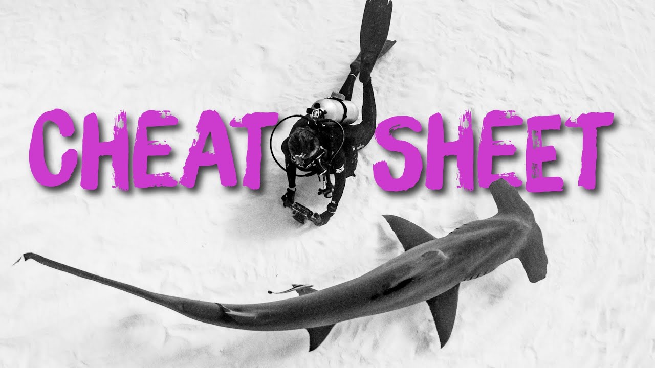 Настройки камеры Shark // Шпаргалки по подводной фотосъемке