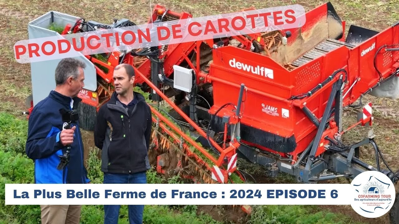 Diversification en carottes Ferme d'HACHIN  : la Plus belle ferme de France 2024/6
