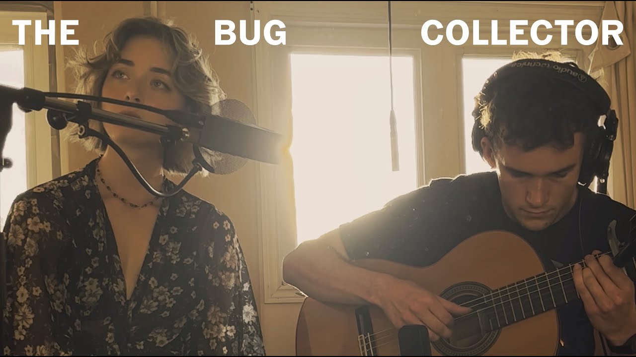 The Bug Collector - Cover (feat. maxprkr)