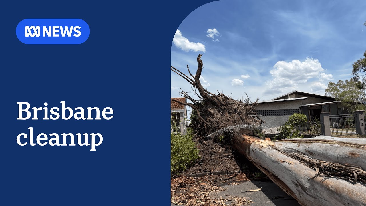 Massive cleanup after wild storms, power outages in Queensland&rsquo;s south-east | ABC NEWS
