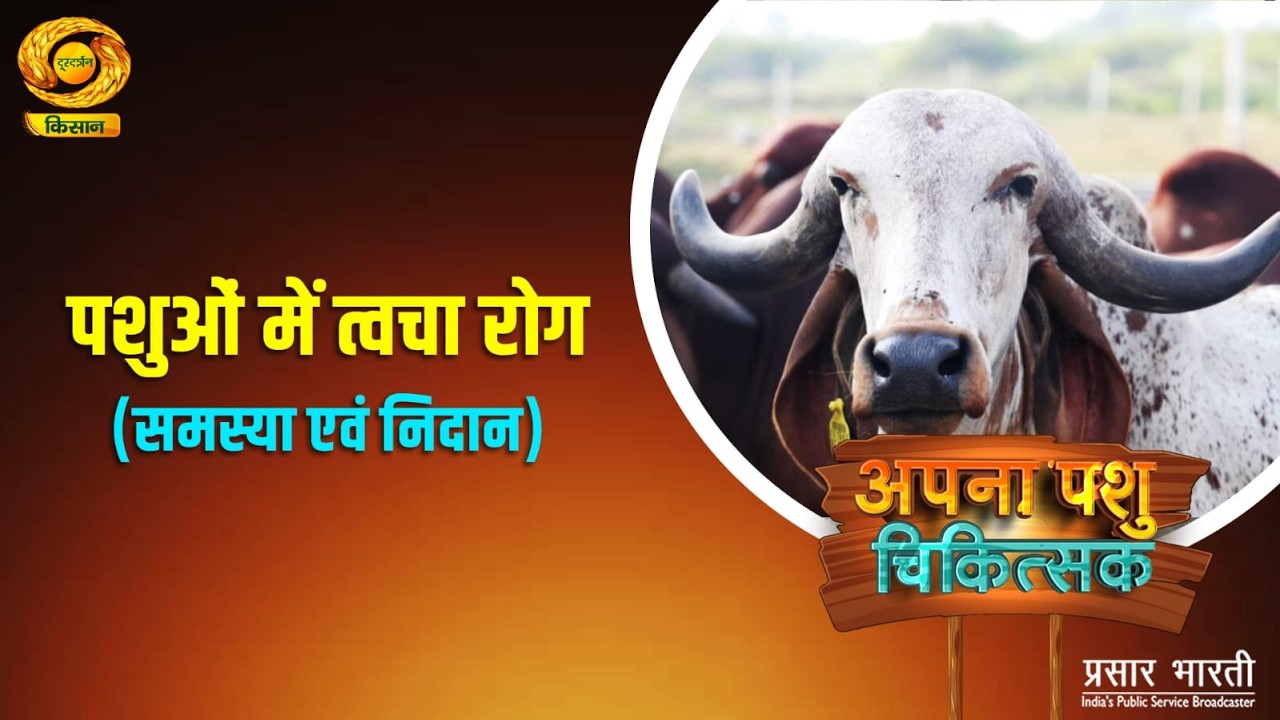 Apna Pashu Chikitshak: पशुओं में त्वचा रोग (समस्या एवं निदान) | DD Kisan | 22/02/2026