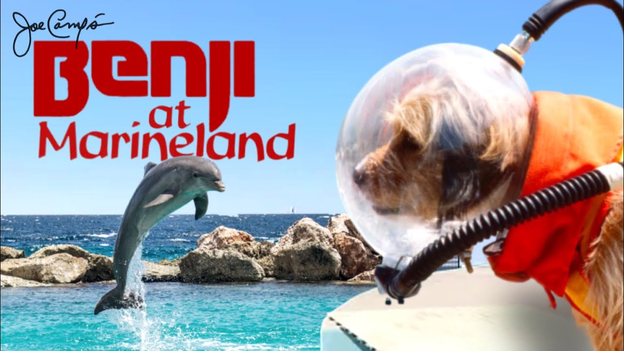 Benji at Marineland (1981)