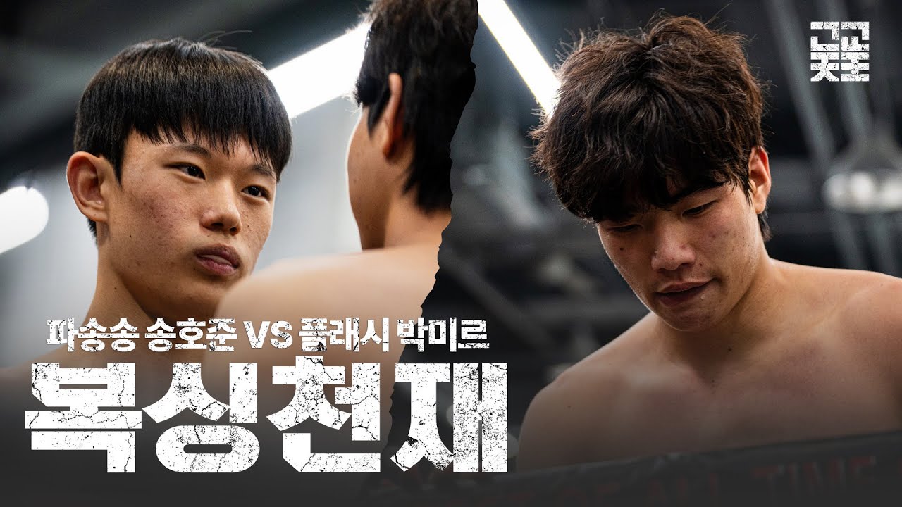 EP.01 고딩판 아이엠복서 ㅣ 영재발굴단의 복싱천재 박미르 vs MMA 타격천재 송호준  ‘엘리트 복서의 자존심 VS MMA 파이터의 본능'
