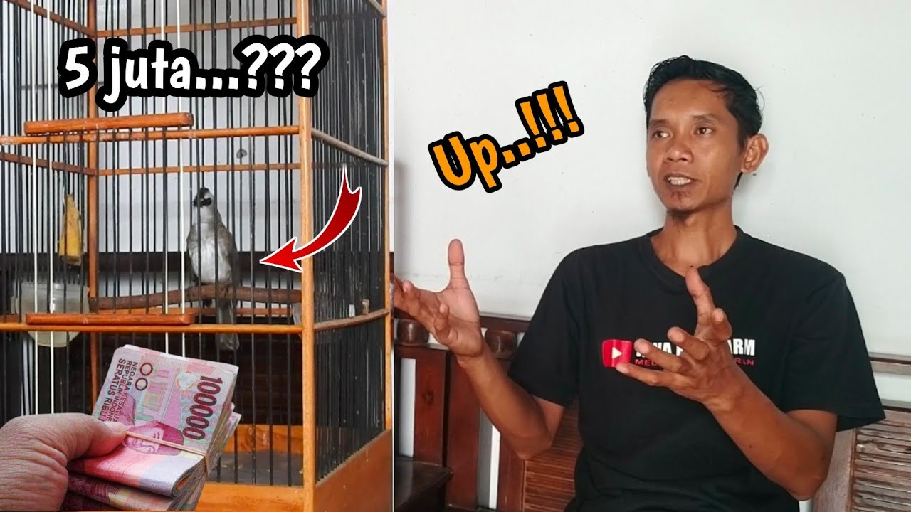 TRUCUK Bekas Ombyokan di tawar 5jt Tadinya kaya JET T€MPUR‼️