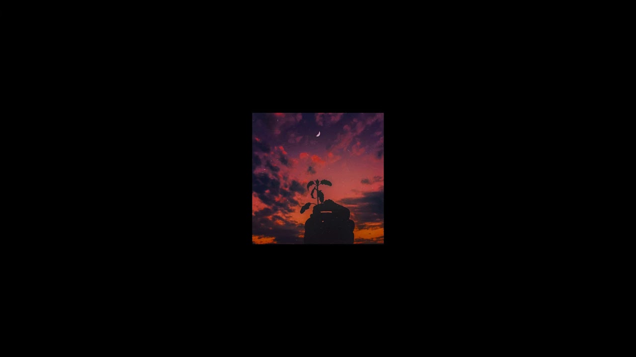 halfik - taki vibe