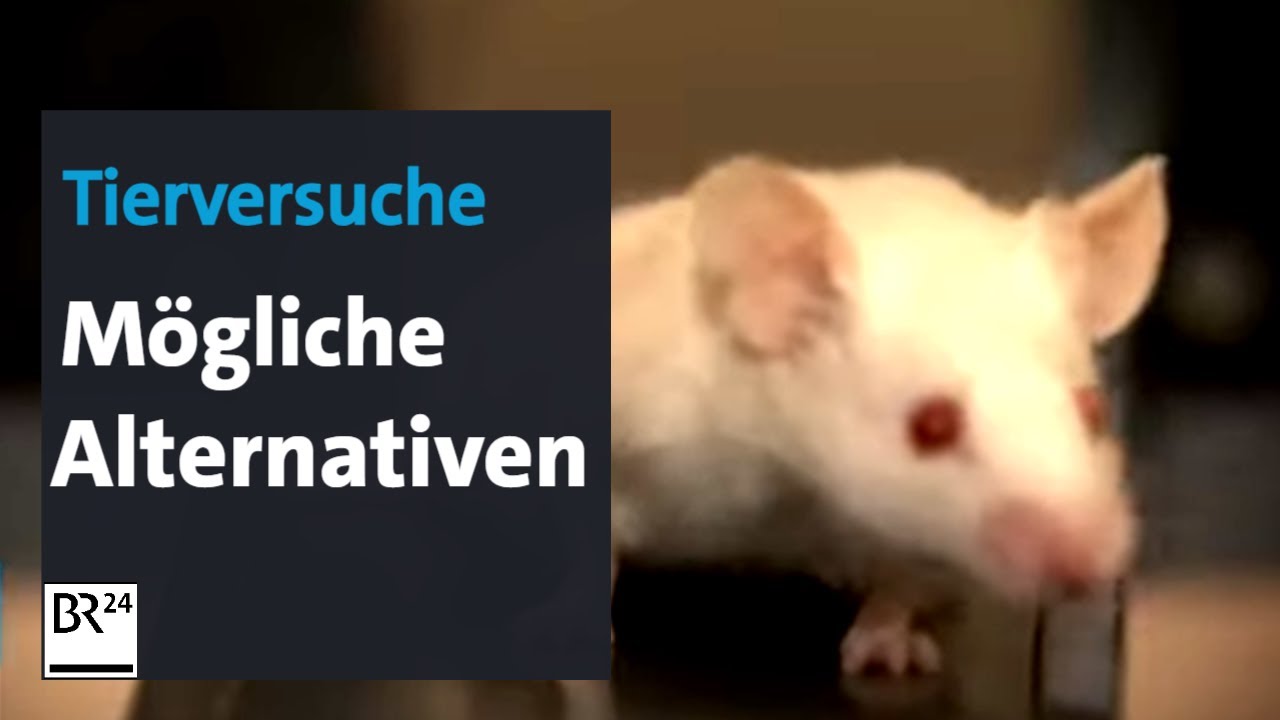Tierversuche: M&ouml;gliche Alternativen | BR24