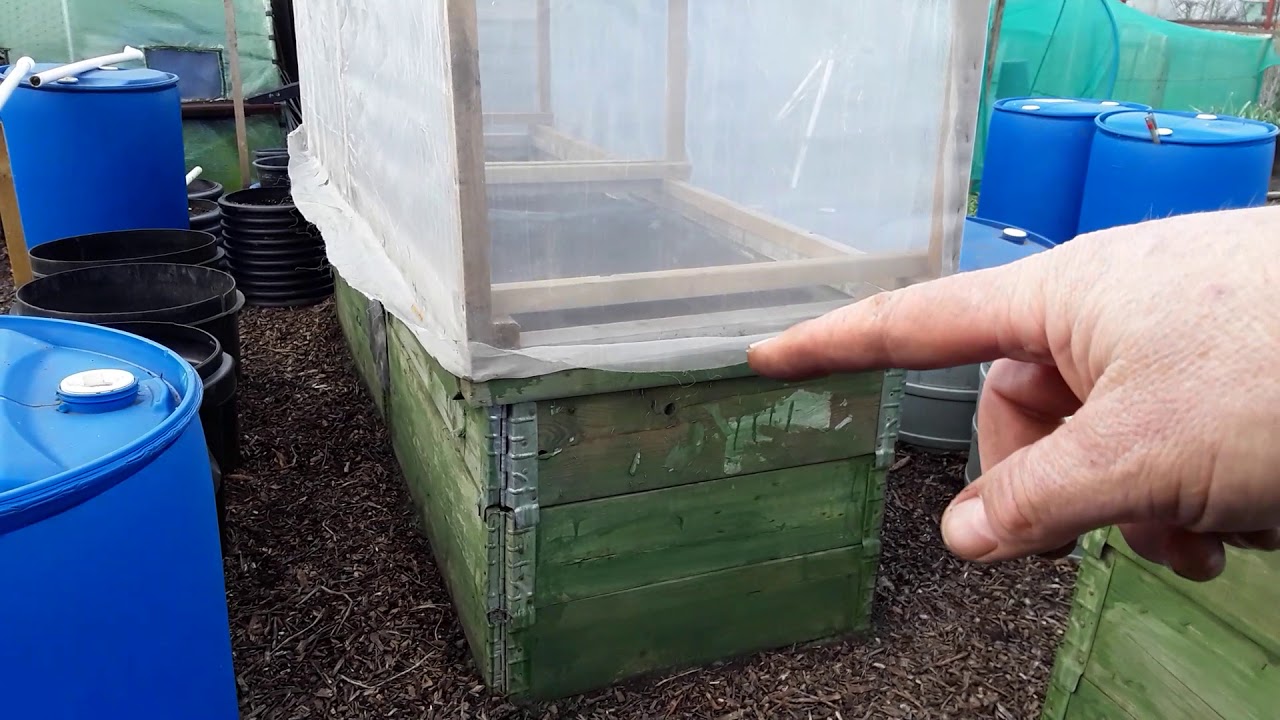 January Tour Of Both Allotment And I Am Really Pleased With The Progress In The Last Two Weeks (483)