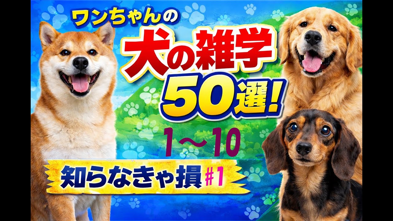 わんわん　犬の雑学　AIに聞いてみた！？　1