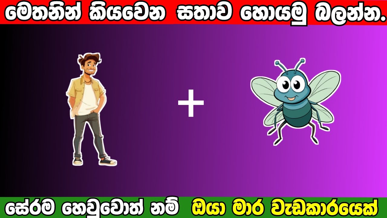 🤯90% කටම මේවා නම් Guess කරන්න බෑ 😉 Animals + Foods + Places Quiz | Simple Mind #11