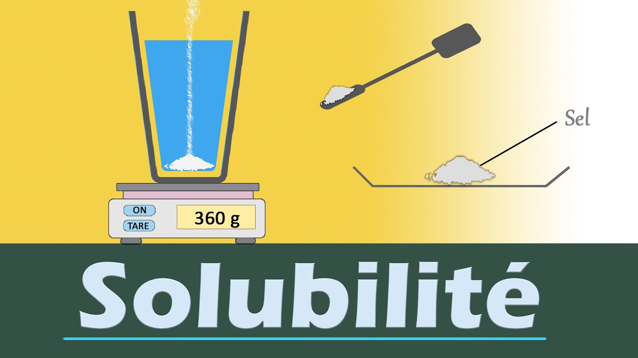 Solubilité - Physique Chimie | Collège - Lycée