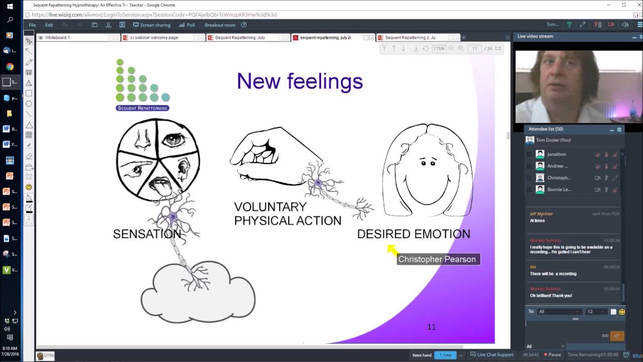 Webinar: Sequent Repatterning Hypnotherapy Webinar: An Effective Treatment for Misophonia