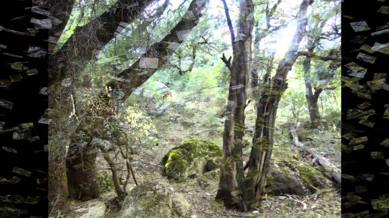 ΗΜΟΥΝ ΠΑΙΔΙ ΔΕΝ ΗΞΕΡΑ~Σοφία Βώττα