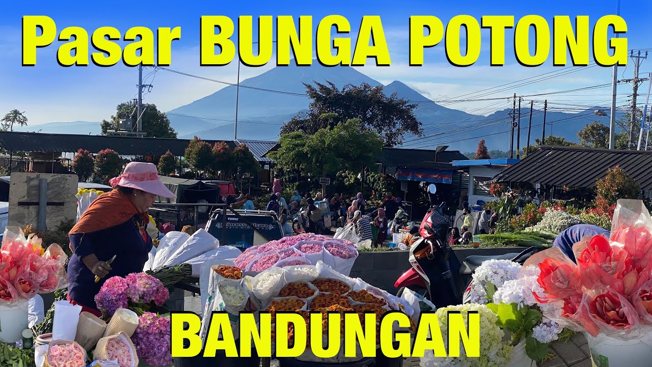 RAMAI SEKALI, JUAL BELI PASAR BUNGA POTONG TERBESAR SE JAWA TENGAH #wibikembara #bandungansemarang