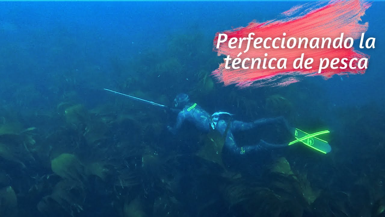 Pesca Submarina en GALICIA: Perfeccionando la Técnica de PESCA