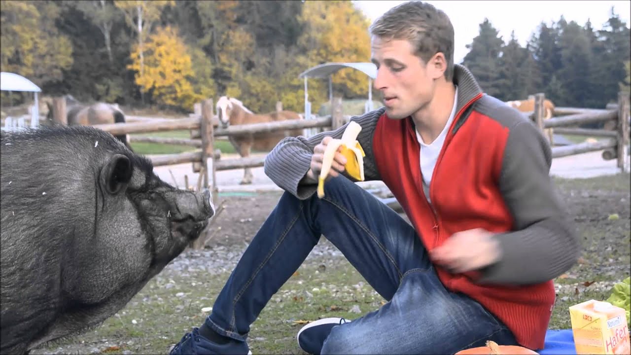 Mit Tieren essen, statt Tiere essen