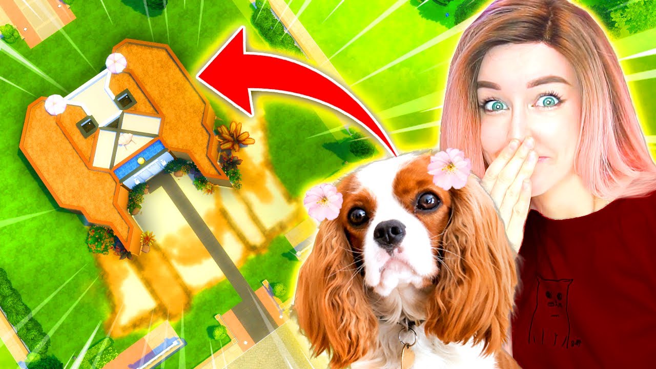 I built my dog her DREAM house shaped like her because I love her so much 🐶