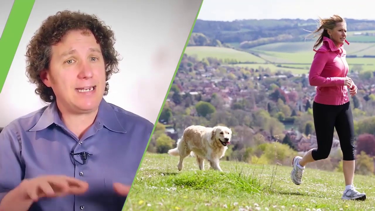 Ways to help your dog live longer