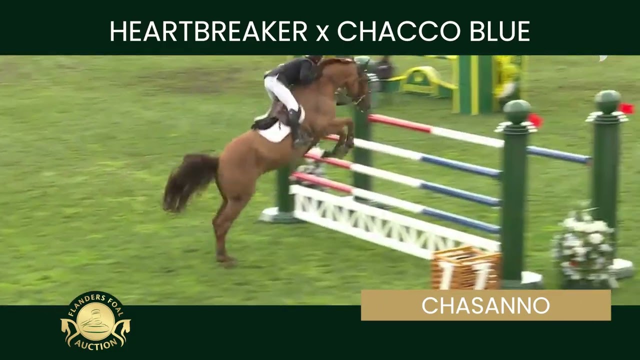 Embryo 19 Heartbreaker x Chacquenta