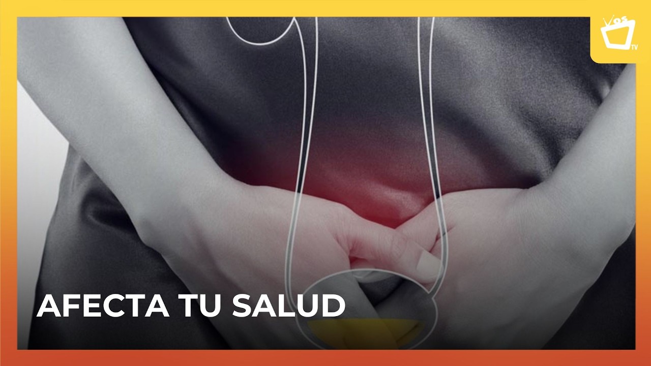 ¿Cómo la bacteria Escherichia coli causa infecciones urinarias?