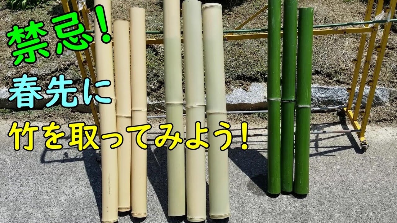 【竹細工】春～夏の竹でも取ってみよう！【竹の保管】
