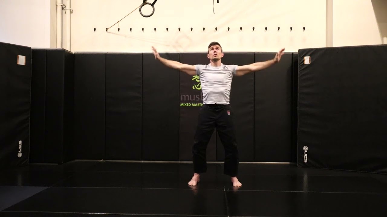Fitness Mastery Workout 2