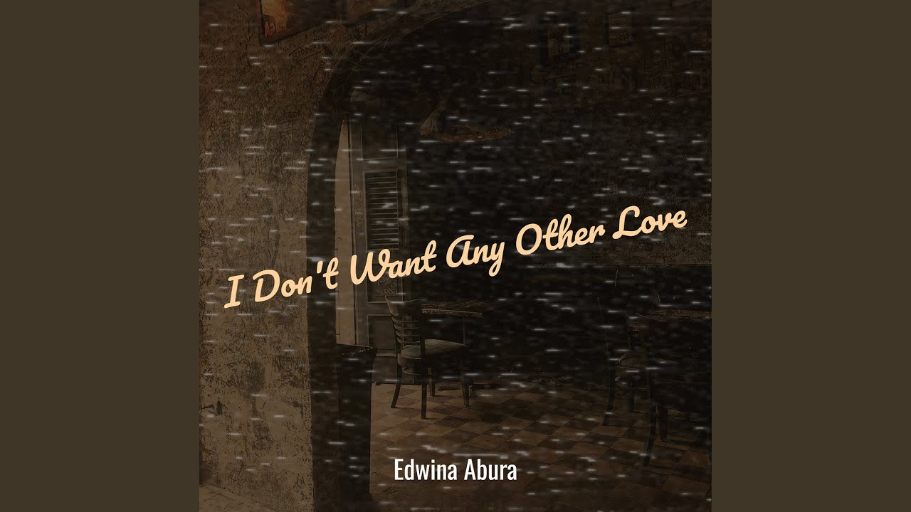 I Don't Want Any Other Love