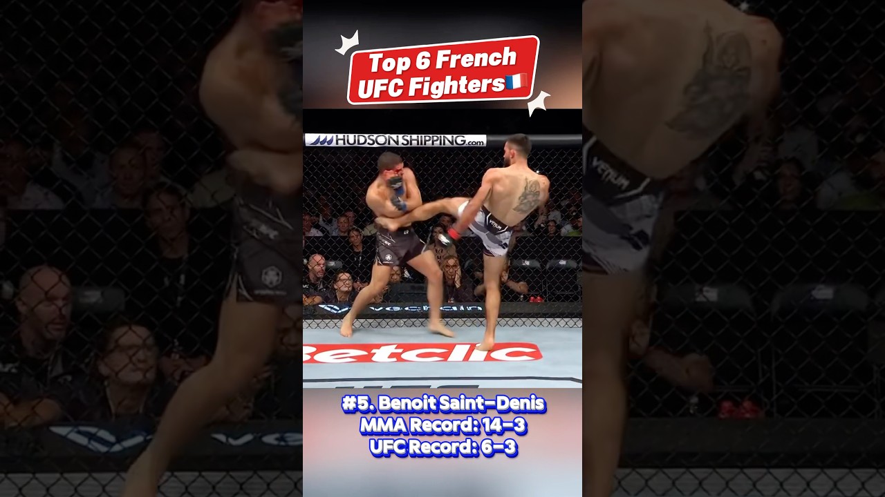 Top 6 French UFC Fighters! #ufc #mma #sports #shorts #france #new #ranked