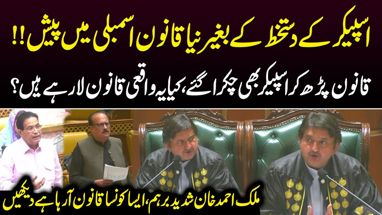 Speaker Malik Ahmad Khan Furious Over Alleged New Law in Punjab Assembly | Public News