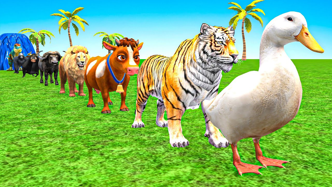 Funny Long Slide Game With Cow Elephant Gorilla Hippopotamus Tiger 3d Animal Game Funny 3d Animals