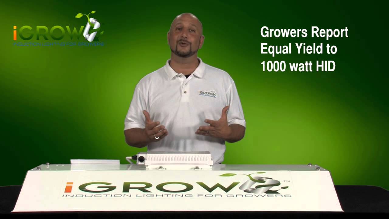 Quality Comparison and Light Penetration between iGROW Induction and 1000 watt HID