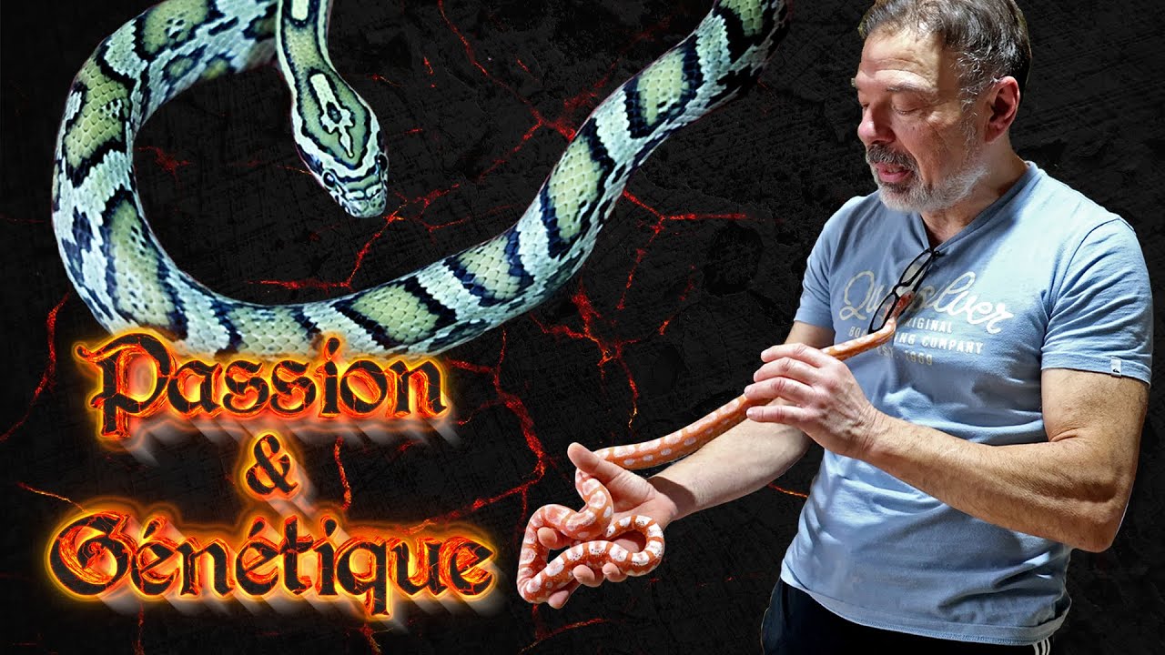 RENCONTRE avec Richard DIJOUX : Passion & Génétique