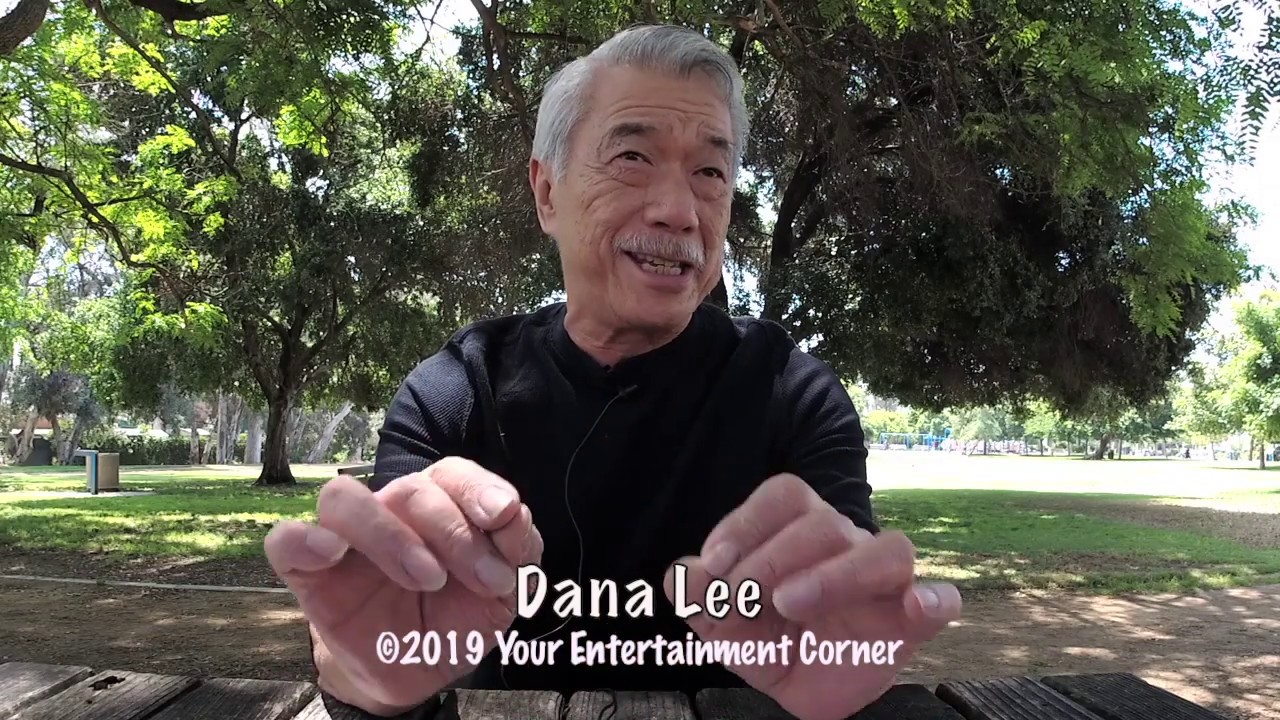 Conversation With Inspiring Actor Dana Lee – Growing Up in TX, Dr. Ken, Birds of Prey, and More