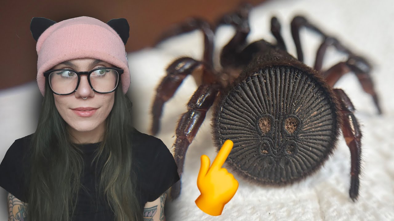Very Bitey, VERY FRIGHTY Trapdoor Spider Unboxing! I Poked the Forbidden Oreo!!