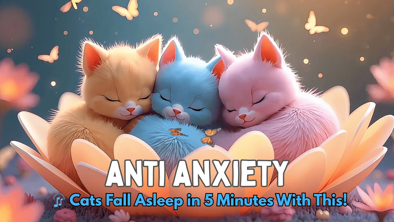 (No Ads) Fall Asleep Tonight • Healing Music for Overthinking, Stress #004M