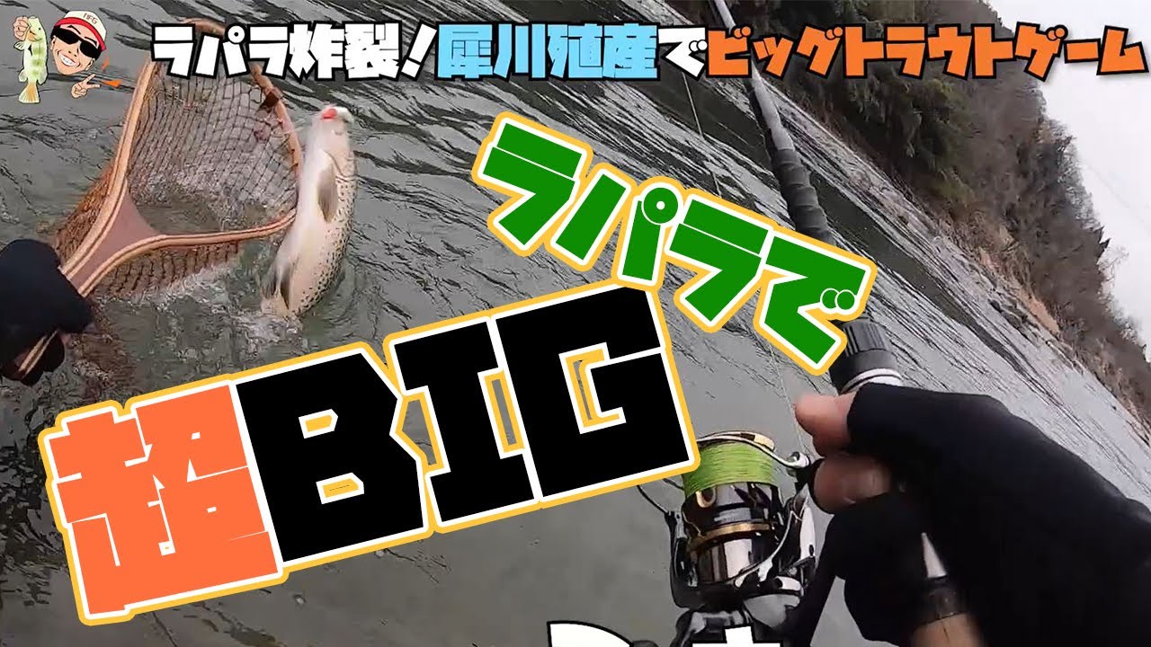 ラパラ炸裂！犀川殖産でビッグトラウトゲーム！