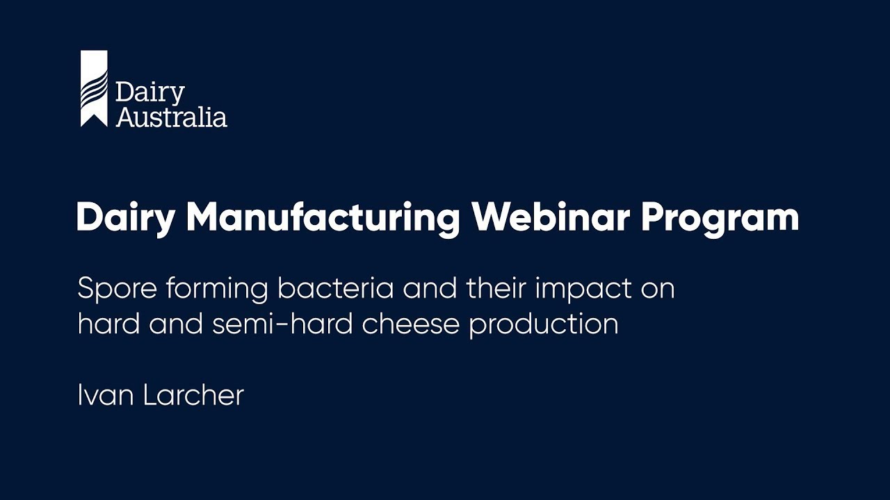 Impact of spore forming bacteria on hard and semi‑hard cheeses | Dairy Manufacturing Webinar Program
