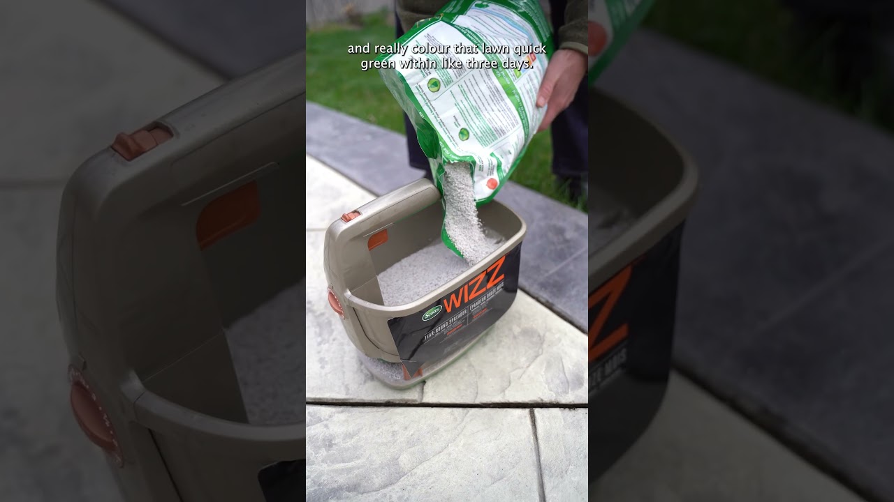 КОГДА УДОБРЯТЬ ГАЗОН ВЕСНОЙ 🌿 Фрэнки Флауэрс