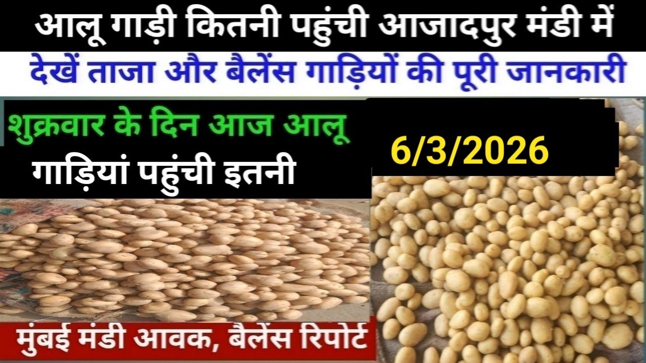 6/3/2026 आजादपुर मंडी में आलू गाड़ियों की रिपोर्ट//मुंबई मंडी आवक, बैलेंस रिपोर्ट//aalu ka bhav 