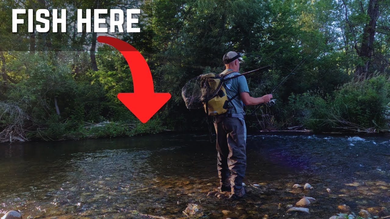 Looking for Trout in the Backwaters of the Boise River